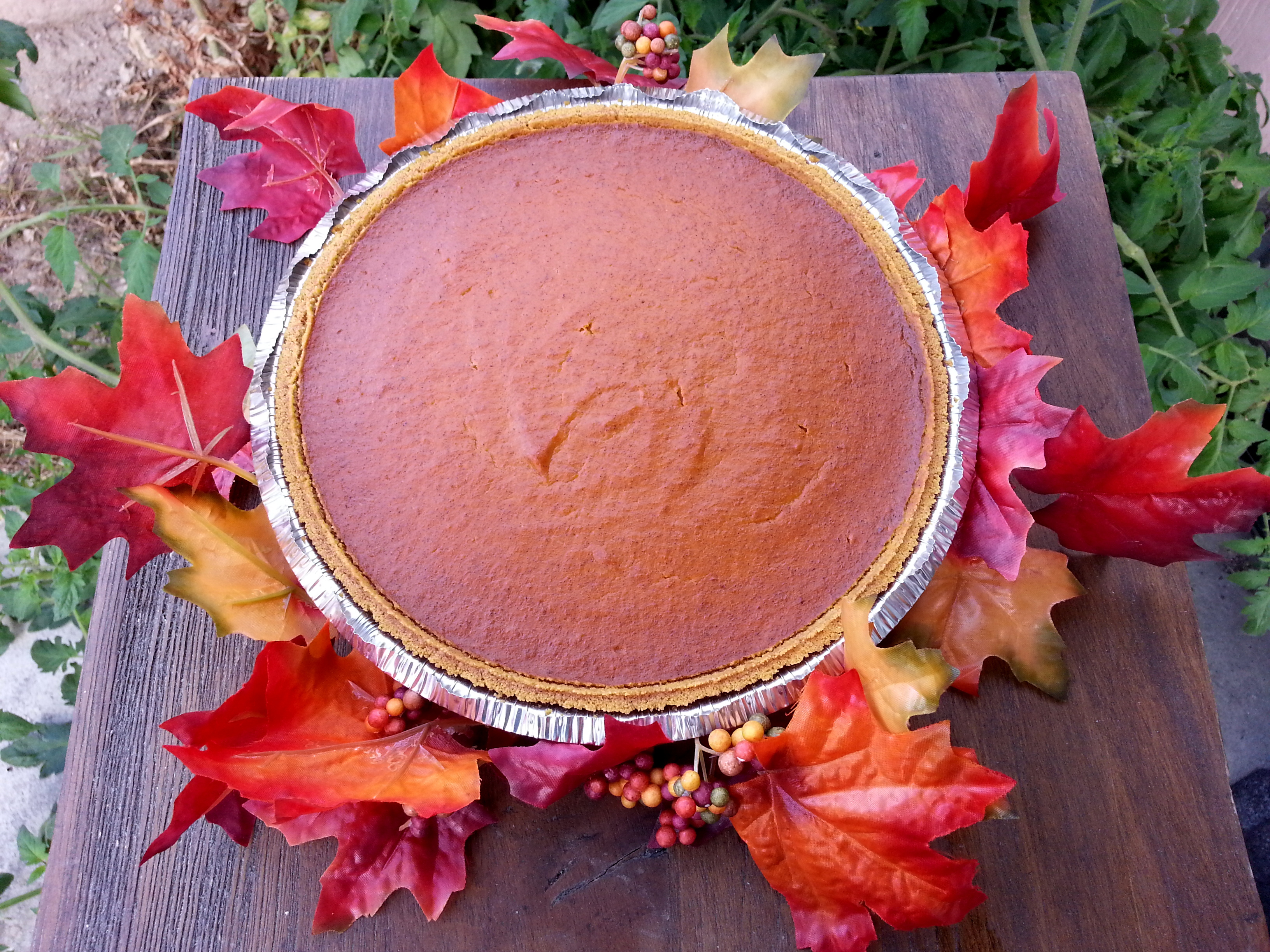 Pumpkin Pie Recipe