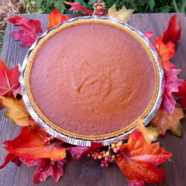 Pumpkin Pie Recipe