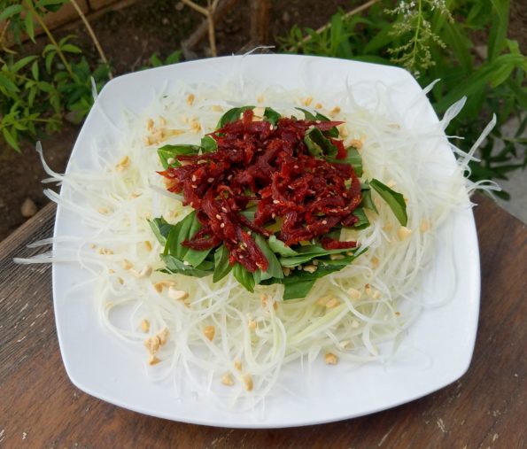 vietnamese papaya salad with beef jerky