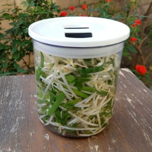 Pickled Beansprouts Recipe