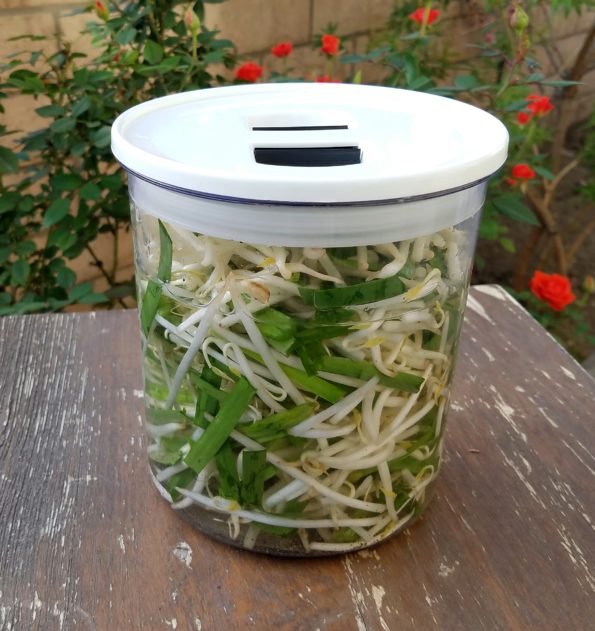 Pickled Beansprouts Recipe