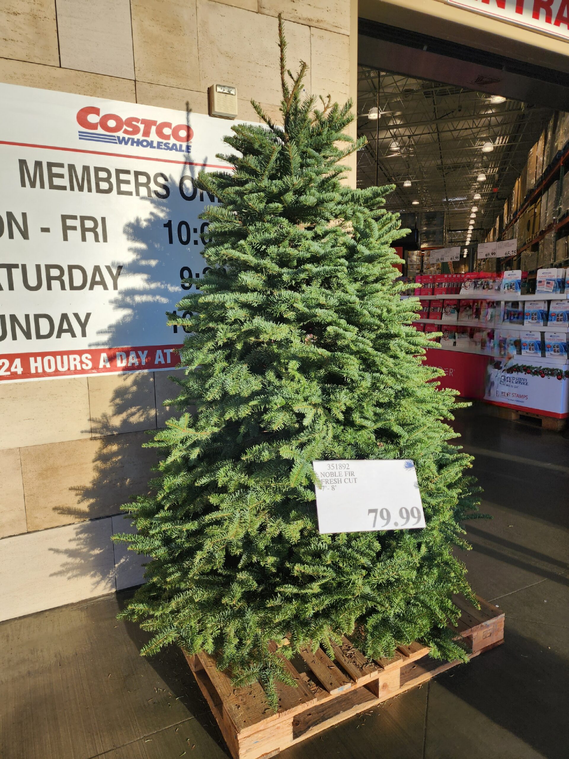 COSTCO FRESH CHRISTMAS TREES 2023 Eat With Emily